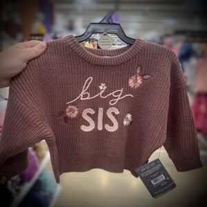 Gerber 'Big Sis' Embroidered Sweater - mauve/purple color